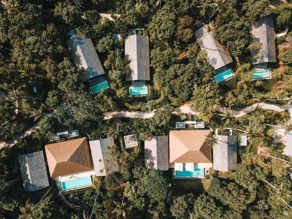 Aerial View of Private Pools Adjacent to Forested Villas in Phuket Town