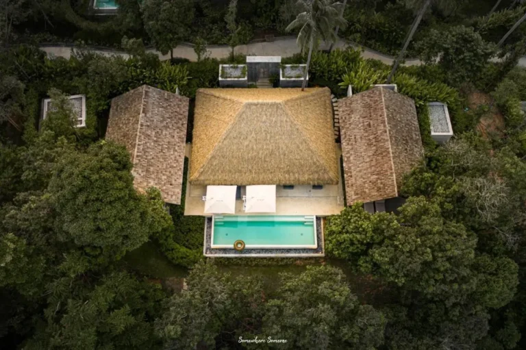 Aerial View of Private Swimming Pool and Thatched-Roof Structure Surrounded by Lush Greenery in Phuket Town