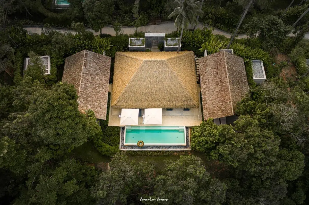 Aerial View of Private Swimming Pool and Thatched-Roof Structure Surrounded by Lush Greenery in Phuket Town