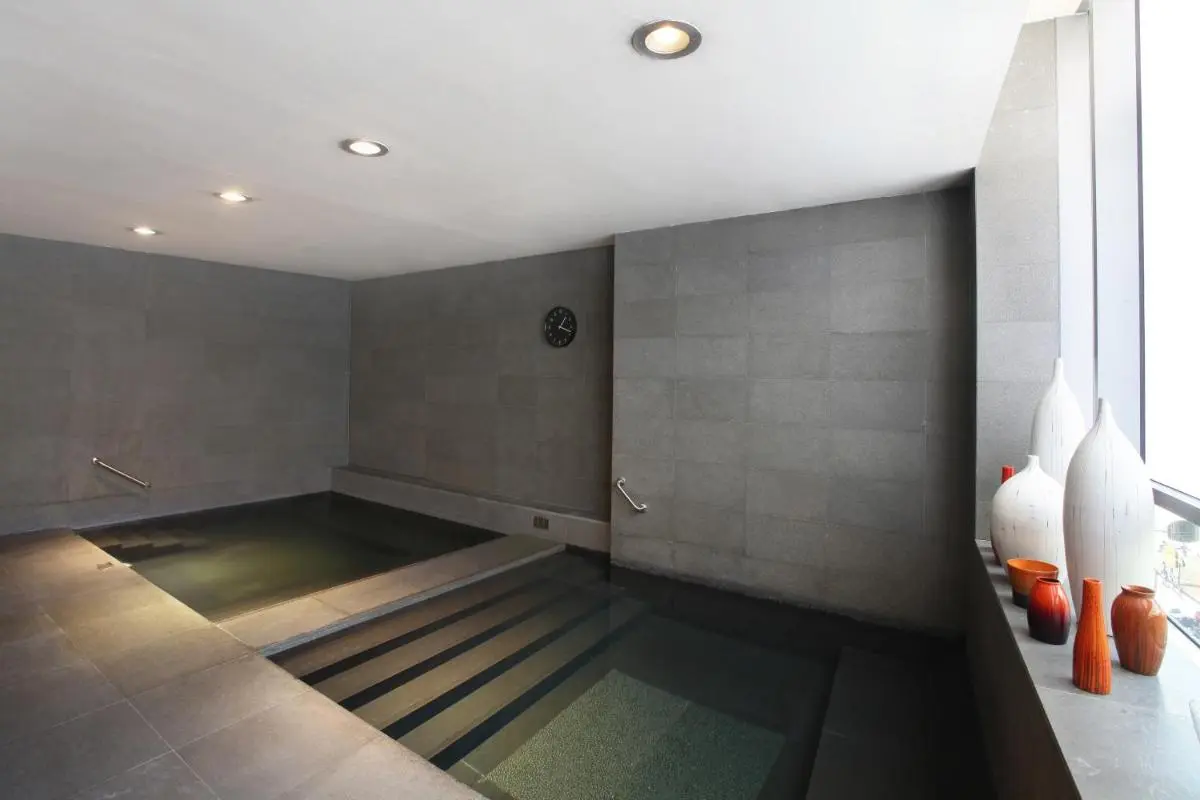 Indoor Pool and Spa Area with Steps and Handrails in Singapore