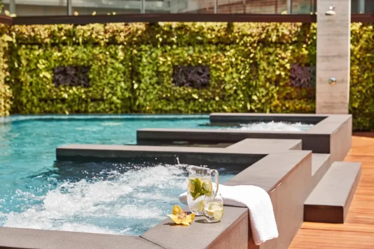 Outdoor Jacuzzi Pool Area with Vertical Garden and Wooden Deck in City Hall