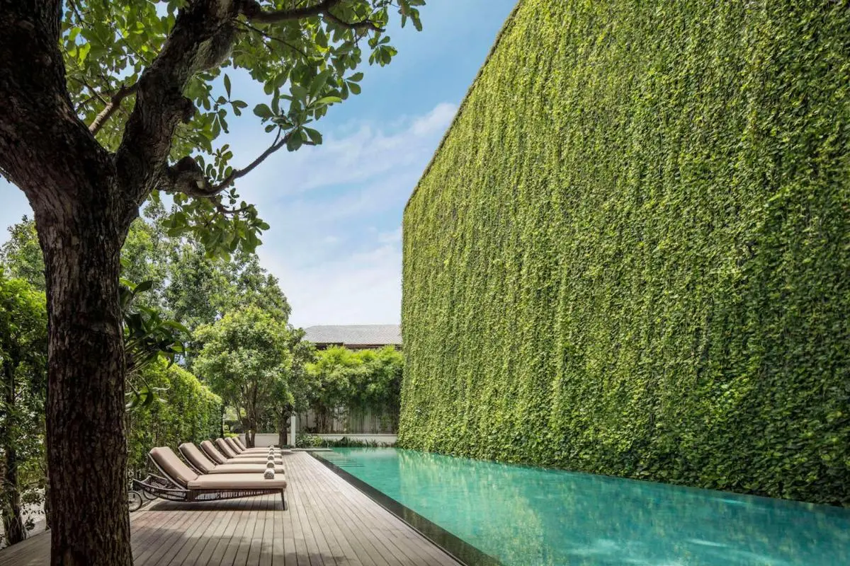 Outdoor Rectangular Swimming Pool with Wooden Deck and Green Foliage in Wat Ket Chiang Mai