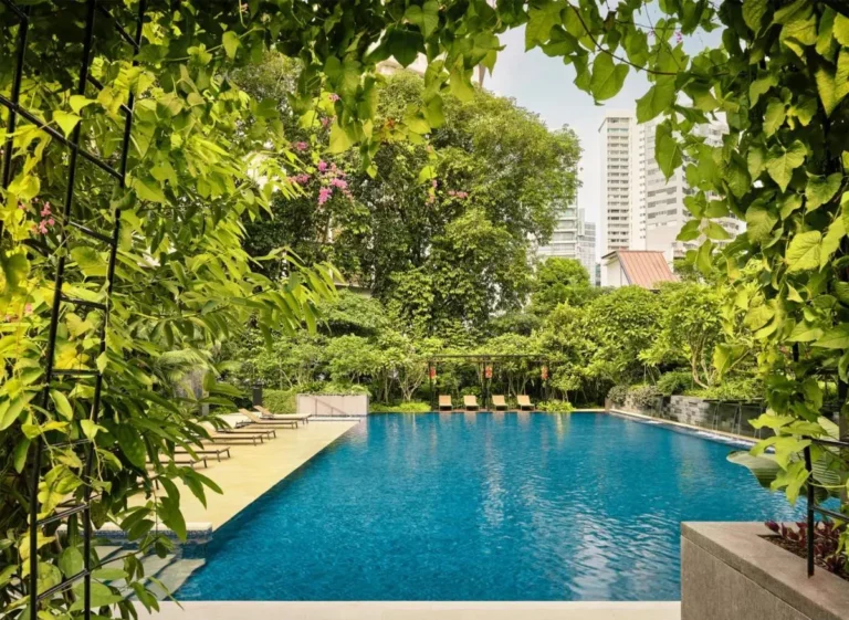 Outdoor Swimming Pool and Lounge Area Surrounded by Greenery in Orchard Singapore
