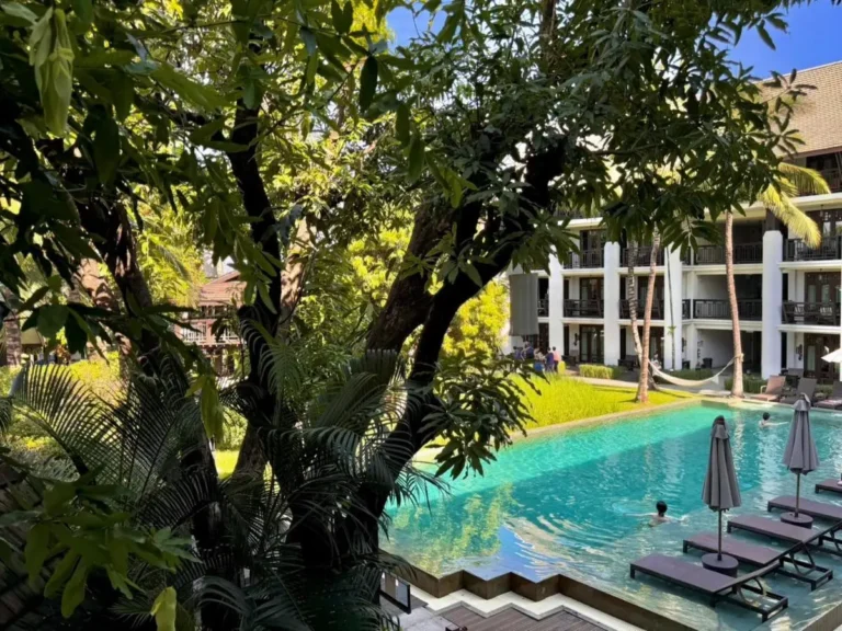 Outdoor Swimming Pool and Lounge Area Surrounded by Tropical Vegetation in Hai Ya Chiang Mai