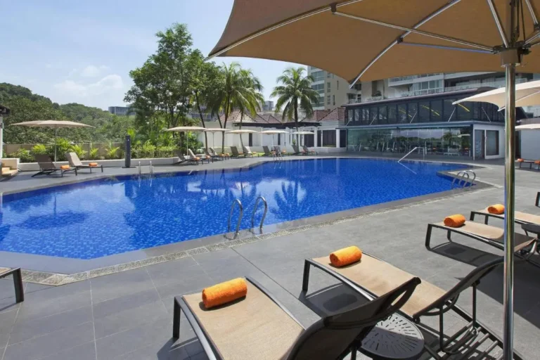 Outdoor Swimming Pool Area with Lounge Chairs and Umbrellas in Orchard