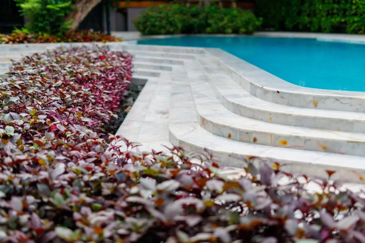 Outdoor Swimming Pool with Marble Steps and Lush Foliage in Chang Khlan Chiang Mai