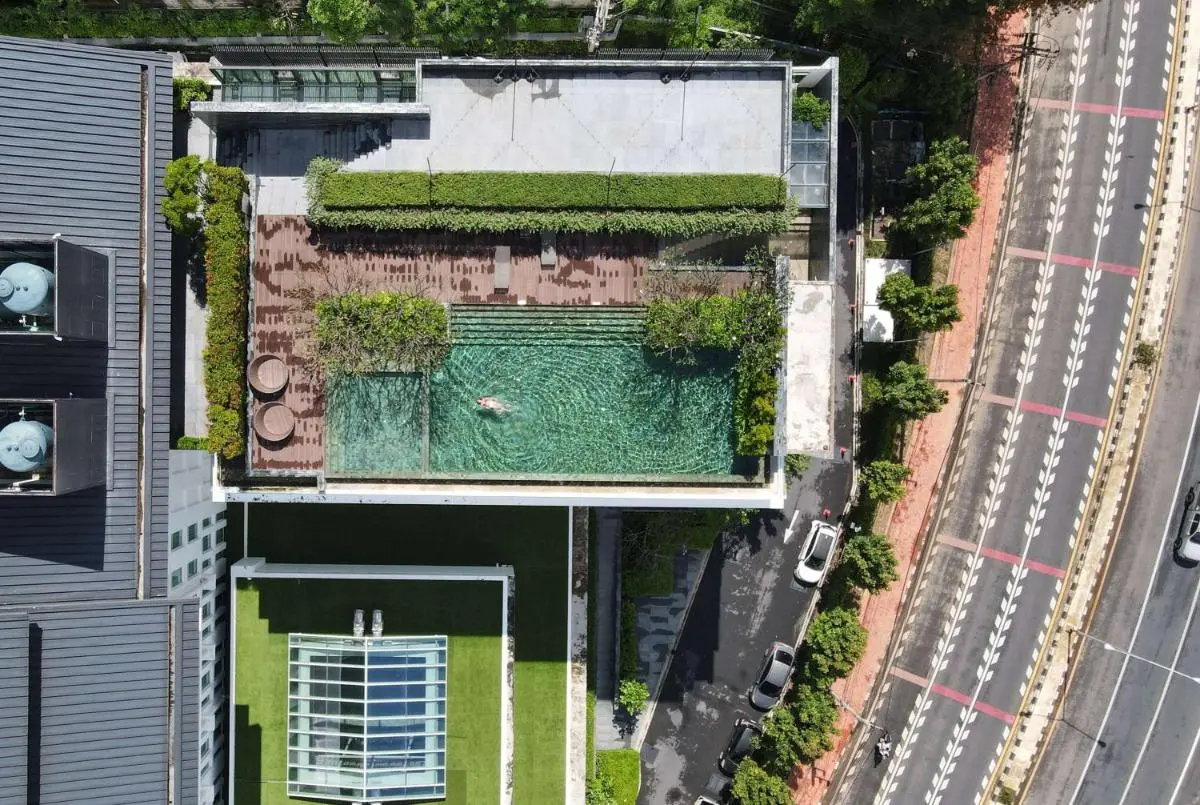 Rooftop Swimming Pool and Relaxation Area with Greenery in Phuket Town