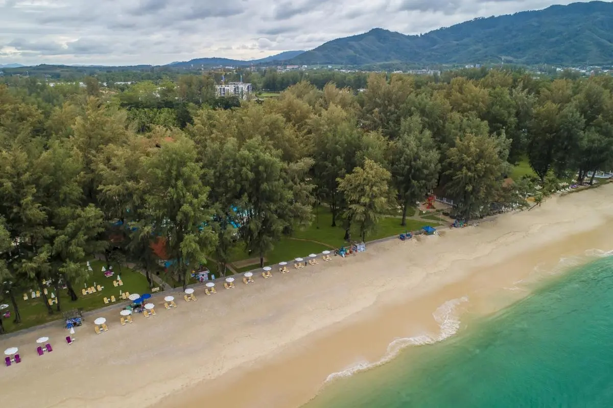 Scenic Coastal View of Bang Tao Beach with Organized Sun Loungers and Natural Landscape