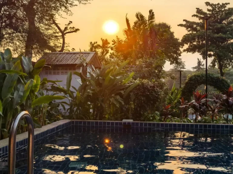 Tranquil Outdoor Pool Surrounded by Lush Tropical Vegetation in Wat Ket Chiang Mai