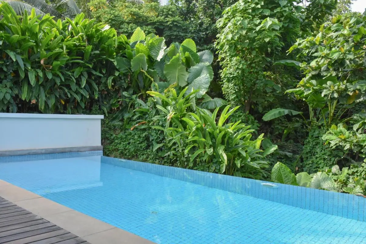 Tranquil Outdoor Swimming Pool Surrounded by Lush Tropical Vegetation at Panwa Beach
